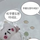 머리 맛집 피너클 뷰티 후기