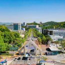 충남대로 이미지