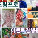 드림팜코리아 이미지