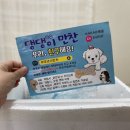 댕댕이 만찬 이미지
