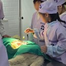 될래요