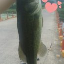 청도천7 이미지