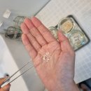 천연제작소