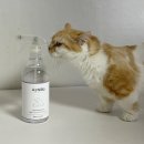 반려동물 오줌냄새 제거 스프레이 아스텔라 강아지고양이탈취제 Astella Pet Spray Rosemary