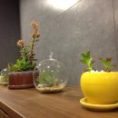 뉴욕실용음악학원 이미지