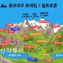 37번 | [스위스 그린델발트] 5월말 융프라우 트레킹 후기 (37번 코스 도전!)