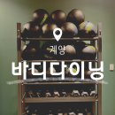 바디다이닝 이미지