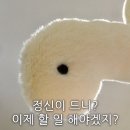 로터스 하우스 이미지