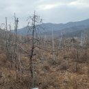 신계리/상신 이미지