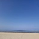 해물왕창칼국수 이미지