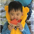 천마아이태권도장 이미지