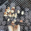 인천송도국제캠핑장 이미지