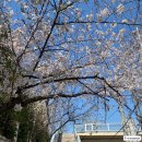 부평서여자중학교 이미지