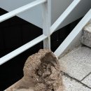 소나무둥지 | 전시 <아드리안 비야르 로하스: 적군의 언어> - 아트선재센터 후기(아트선재센터 주차정보) / 설치미술