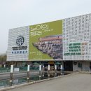 노아의 방주 관람 후기