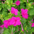 강동면행정복지센터 이미지