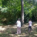 거제시롤러경기장 이미지