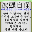 갯벌 이미지