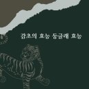 둥글래 티스토리