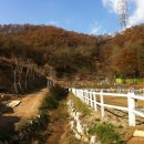 승마랜드 이미지