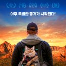 영화 '캣 대디' 고양이와 함께하는 행복한 일상 5월 개봉!! 이미지