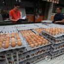 덕연농장 이미지