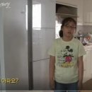 스페셜독 이미지