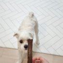 이소블랜딩 이미지