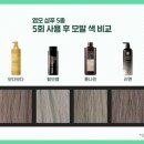물들임 염색