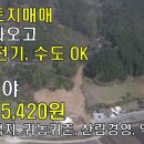 (매매완료)[강원 정선[강원정선토지매매]전1084평 가격으로 임야2850평은 공짜,전원주택지,귀농귀촌,산림경영,약초재배[땅지통] 이미지