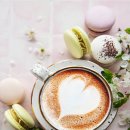 혼담결혼정보회사 이미지