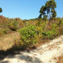 경기목장 이미지