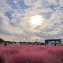 소풍정원3 이미지