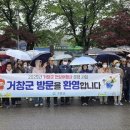 삼성관광여행사 이미지