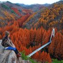 장태산자연휴양림 이미지