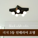 리움조명 이미지