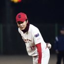 (주)신화코스메틱 이미지