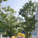 삼성영어셀레나 - 전주시 덕진구 솔내9길 17 | 삼성영어셀레나