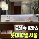 롯데호텔 여성사우나 | [서울_중구] 롯데호텔 서울 이그제큐티브타워 그랜드...해피아워디너,조식, 사우나,수영장,헬스장 후기