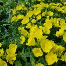 선형2농장 이미지