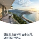 고성금강산콘도, 강원도 오션뷰 콘도의 모든 것 비교 리뷰