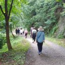 숲 걷기 명상 이미지