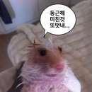 이십오년오월(1)💕