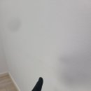 센트럴파크2 중점개방화장실 | 서울 송파구 방이동 아주리센센트럴파크 오피스텔 입주청소 후기