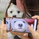 더랩아이 이미지
