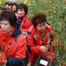 박종수농장 이미지