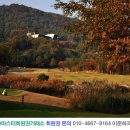 프리스틴밸리GC 네이버블로그