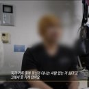 고양이 별 이미지