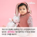 키즈돌핀 이미지
