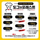 도그레스트 이미지